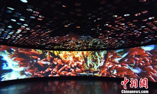 中国新闻网--深海馆 中国新闻网--深海馆